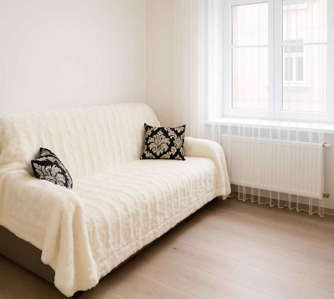 Apartaments Of Franka Street. Lviv Extérieur photo